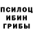 Псилоцибиновые грибы мицелий To LiVE